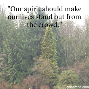 Director blog - our spirit