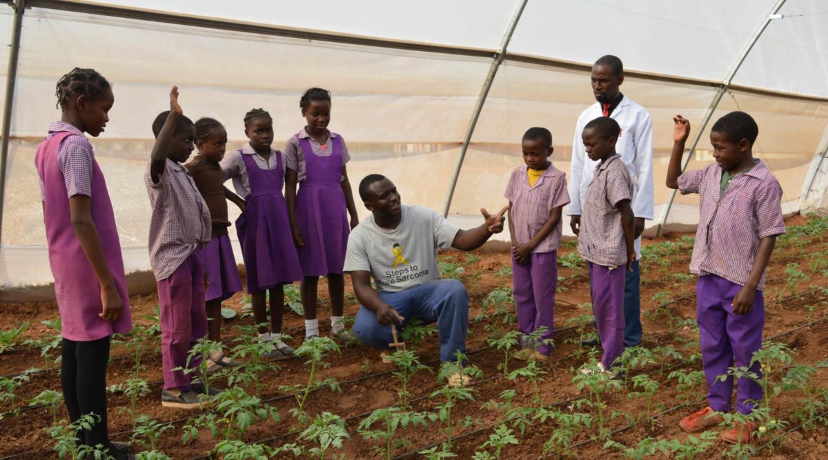chongwe conservation farming
