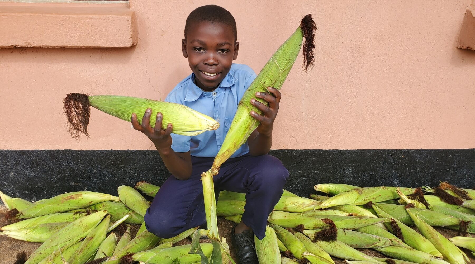 A child smiling and holding two giant pieces of maize with a pile of maize surrounding them. 