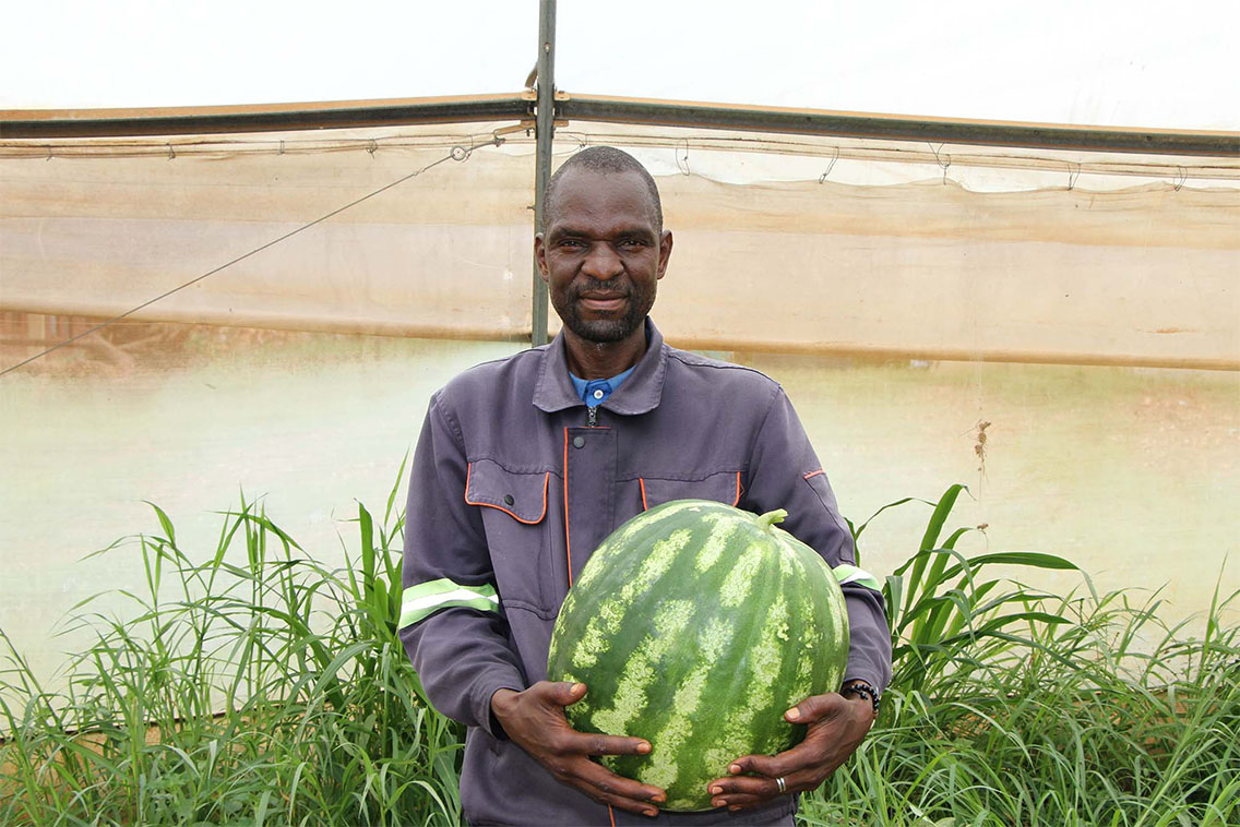 A man holding a giant watermelon in a greenhouse.